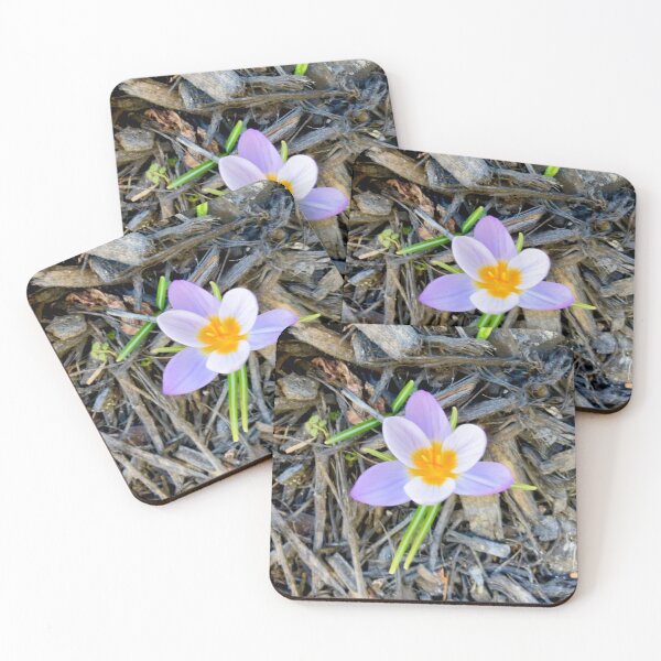 Item preview, First Crocus of 2025 designed and sold by Amanda1775.