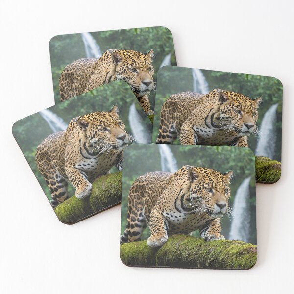 Item preview, Jaguar’s Domain: Mossy Falls and Fallen Trees designed and sold by RK - Shop.