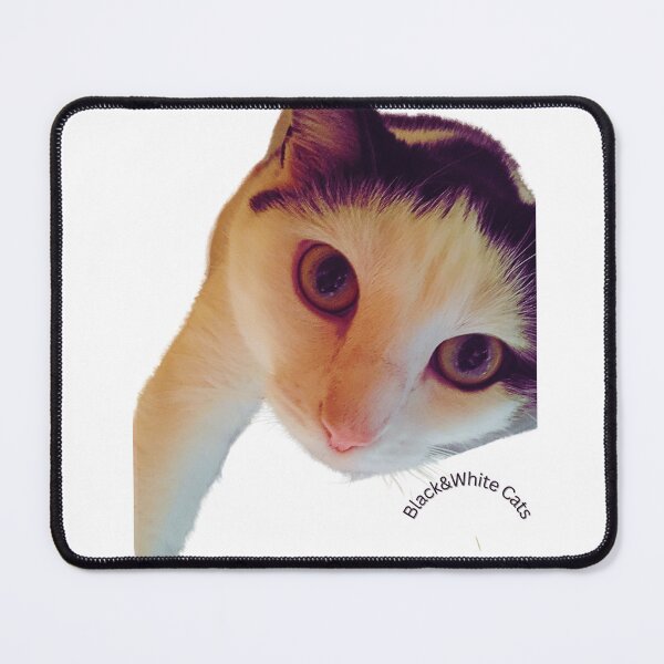 Vista previa del artículo con la obra «Alien mi gato gordo con ojos grandes», diseñado y vendido por catcrewdesigns.