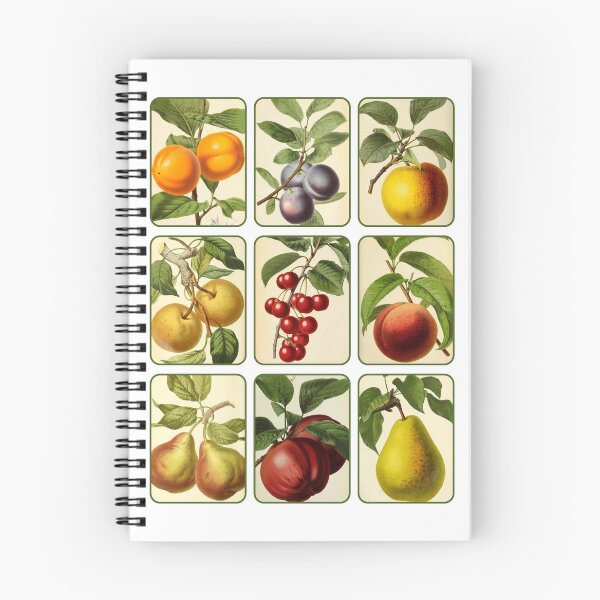 Item preview, Antique Mixed Fruit Collage designed and sold by IrisAndIvy.
