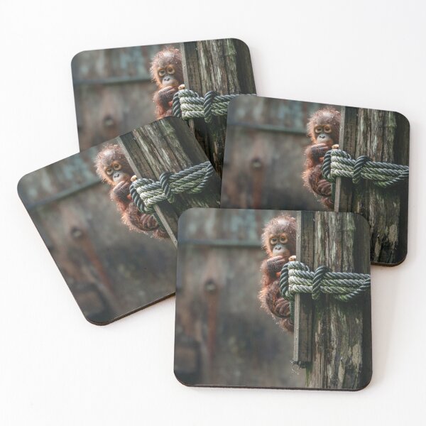 Item preview, Baby Orangutan in the rain designed and sold by John Hodges.