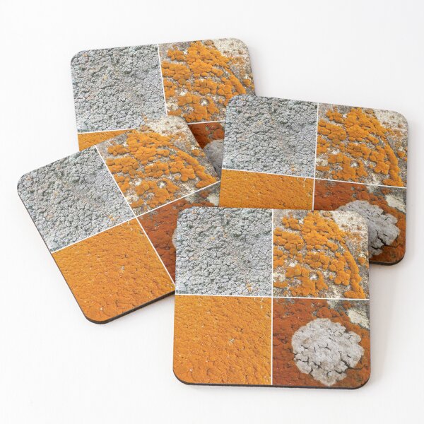 Item preview, Lichen designed and sold by AnthonyThomas.