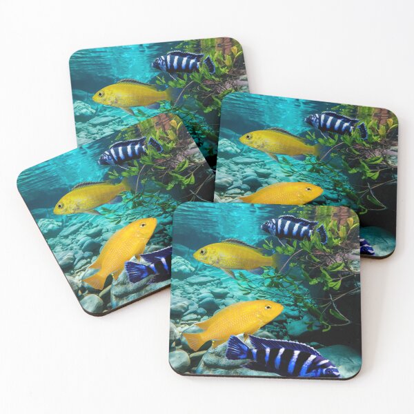 Item preview, Mbuna Cichlids Yellow Labs African Cichlid Aquarium Fish Tank Wall Art  designed and sold by Aquarium Eclipse.