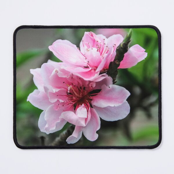 Item preview, California Peaches Soon! designed and sold by heatherfriedman.