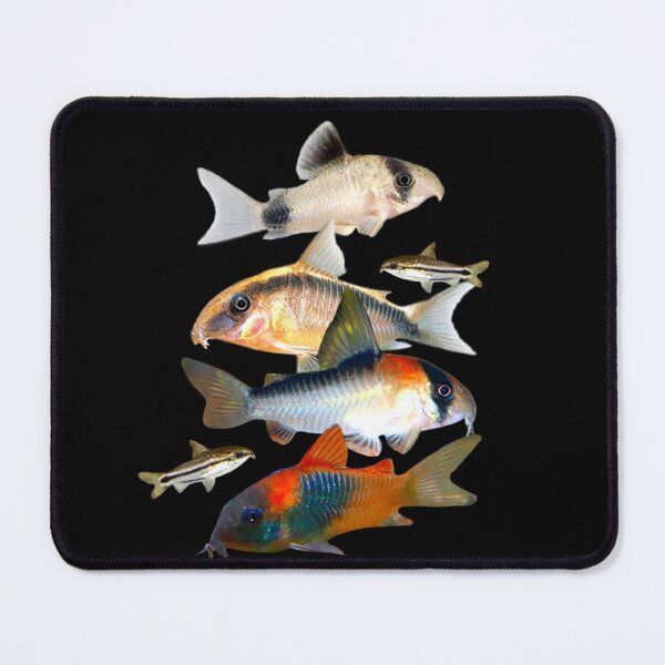 Item preview, Corydoras Catfish Fish Freshwater Aquarium Fish Tank Lovers Art Design designed and sold by Aquarium Eclipse.