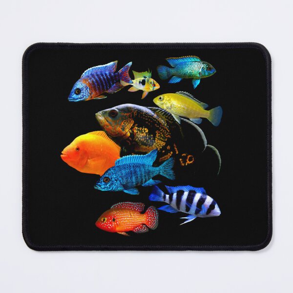 Item preview, Cichlids Fish Dwarf Cichlid Oscar Cichlid Freshwater Aquarium Fish Tank Lovers Art Design designed and sold by Aquarium Eclipse.