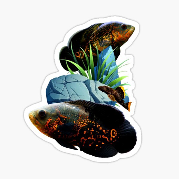 Vista previa del artículo con la obra «Cíclidos Oscar Peces Plecostomus Acuario de agua dulce Amantes de las peceras Arte Diseño», diseñado y vendido por Aquarium Eclipse.