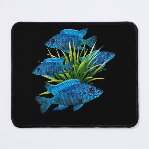 Item preview, Blue Cichlids Fish Freshwater Aquarium Fish Tank Lovers Art Design designed and sold by Aquarium Eclipse.