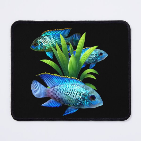 Item preview, Electric Blue Acara Cichlids Fish Freshwater Aquarium Fish Tank Lovers Art Design designed and sold by Aquarium Eclipse.