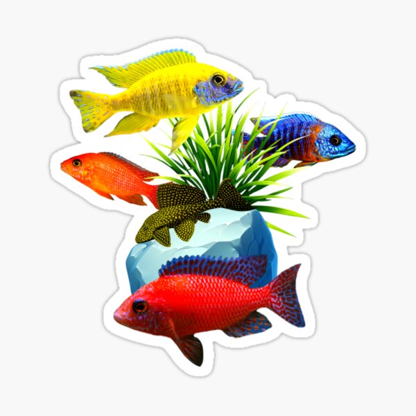 Vista previa del artículo con la obra «Cíclidos africanos Pez plecostomus Acuario de agua dulce Amantes de las peceras Arte Diseño», diseñado y vendido por Aquarium Eclipse.