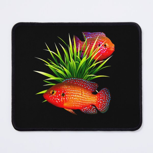 Item preview, Red Jewel Cichlids Dwarf Cichlid Fish Freshwater Aquarium Fish Tank Lovers Art Design  designed and sold by Aquarium Eclipse.