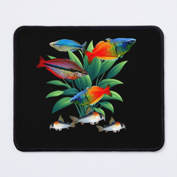 Item preview, RainbowFish Bosemani Rainbowfish Corydoras Freshwater Aquarium Fish Tank Lovers Art Design designed and sold by Aquarium Eclipse.
