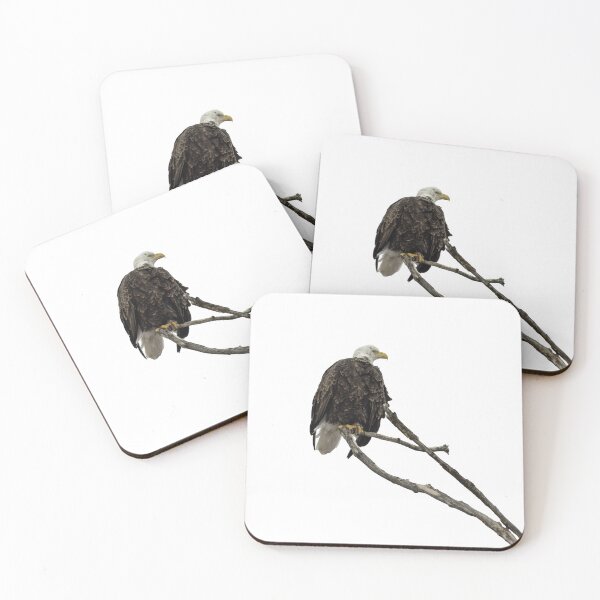 Item preview, Bald Eagle 2-23-25 PNG designed and sold by Thomasyoung.