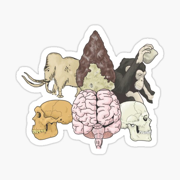 Item preview, Evolution of human cognition designed and sold by WSnyder.