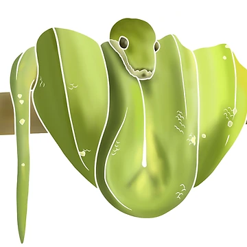 Artwork thumbnail, Green Tree Python by A-inProgress