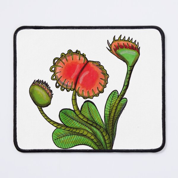 Item preview, Venus Fly Trap designed and sold by Ashleigh O'Lynn.