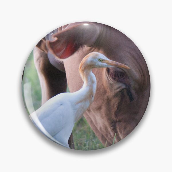 Item preview, Cattle Egret and friend designed and sold by BirdsAlive.