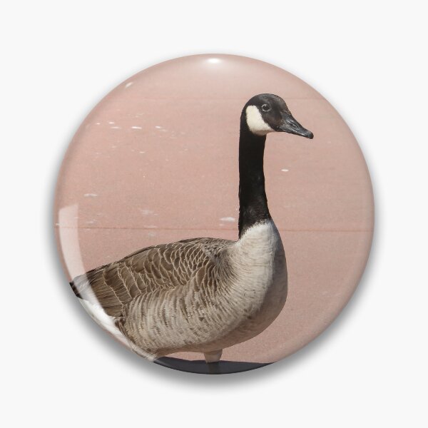 Item preview, Why Did the Goose Cross the Road? designed and sold by heatherfriedman.