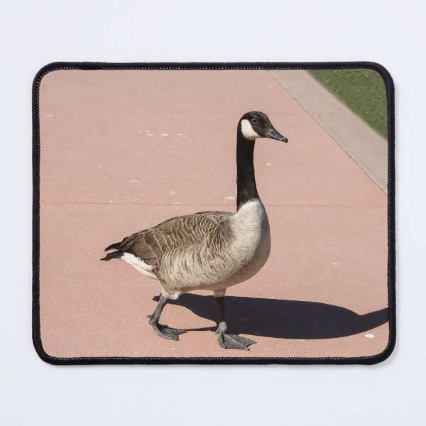 Item preview, Why Did the Goose Cross the Road? designed and sold by heatherfriedman.