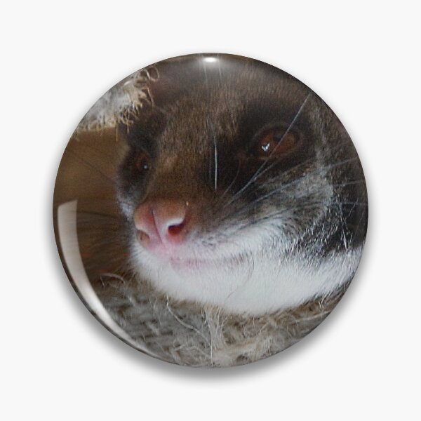 Item preview, Peeking Possum at Magpie Springs designed and sold by MagpieSprings.