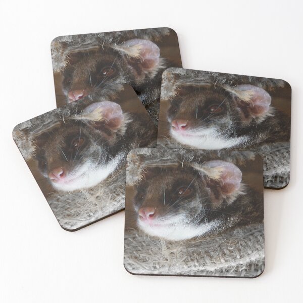 Item preview, Peeking Possum at Magpie Springs designed and sold by MagpieSprings.