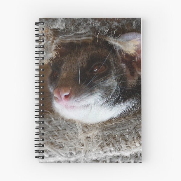 Item preview, Peeking Possum at Magpie Springs designed and sold by MagpieSprings.