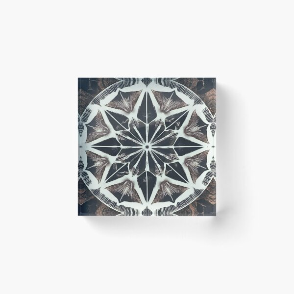 Item preview, DIVINE IMPRESSIONS - Boho Style Neutral Aesthetic Botanical #139b Kaleidography | Nature Photography Symmetry Art Fusion - ashrawArt designed and sold by ashrawArt Designer Boutique Art.