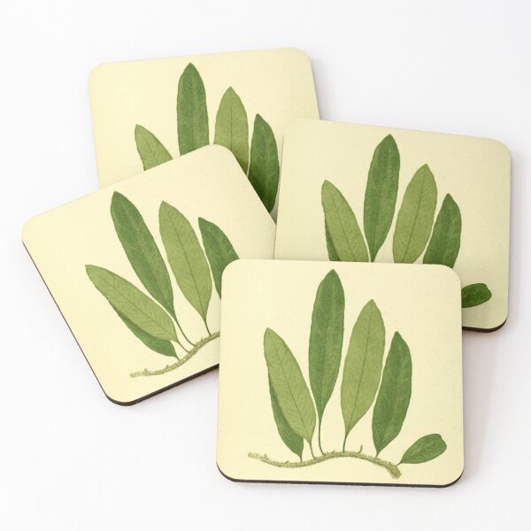 Item preview, Vintage Illustration of Microgramma squamulosa  designed and sold by botanicalworks.