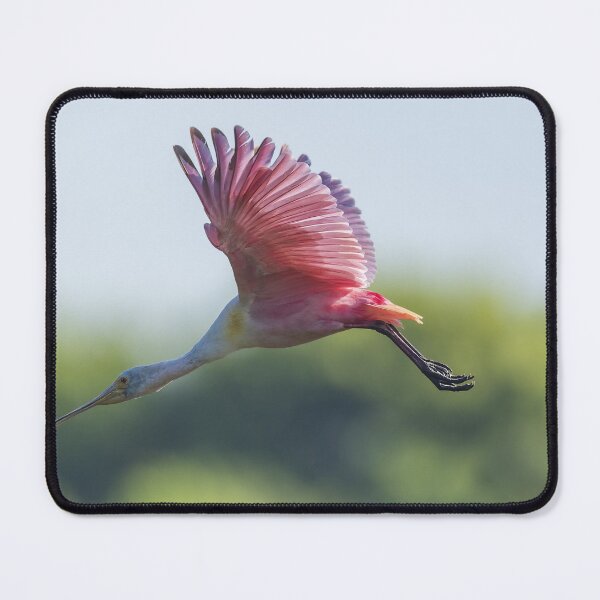 Item preview, Roseate Spoonbill in Flight designed and sold by Puttaswamy Ravishankar.