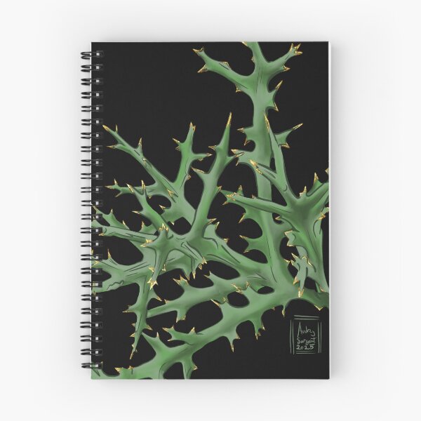 Item preview, Succulent Jewels: Euphorbia Stenoclada, “Silver Thicket” designed and sold by StoutHeart Studio.
