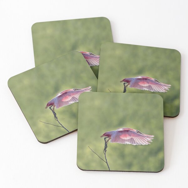 Item preview, Shadow on my Pink Feathers designed and sold by Puttaswamy Ravishankar.