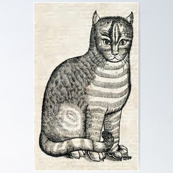 Item preview, Cat- Edward Topsell designed and sold by CertifiedNinja.