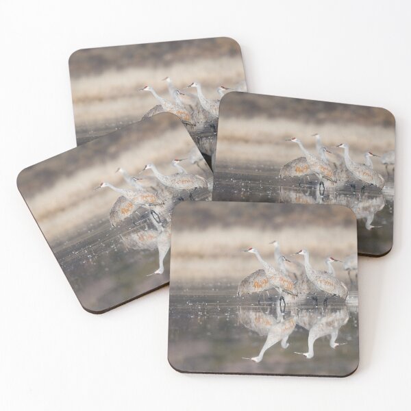 Item preview, Reflections of Feathers - New Mexico designed and sold by Puttaswamy Ravishankar.