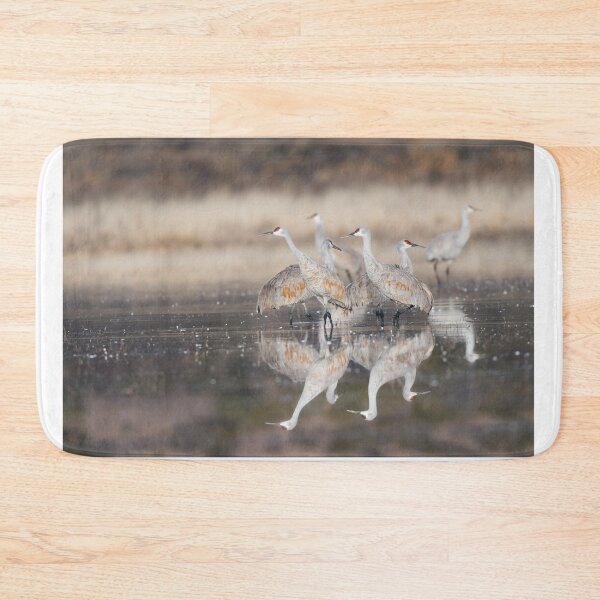 Item preview, Reflections of Feathers - New Mexico designed and sold by Puttaswamy Ravishankar.