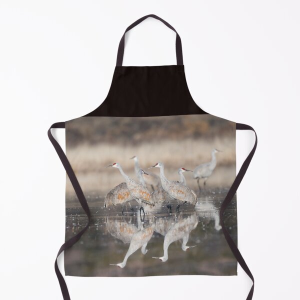 Item preview, Reflections of Feathers - New Mexico designed and sold by Puttaswamy Ravishankar.
