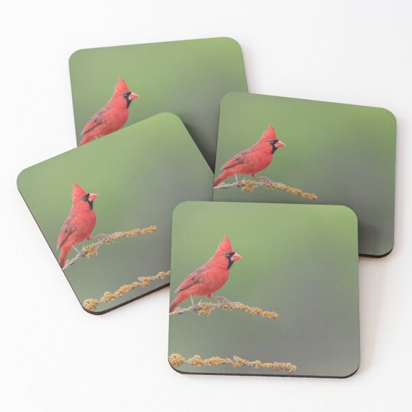 Item preview, Northern Cardinal designed and sold by Puttaswamy Ravishankar.