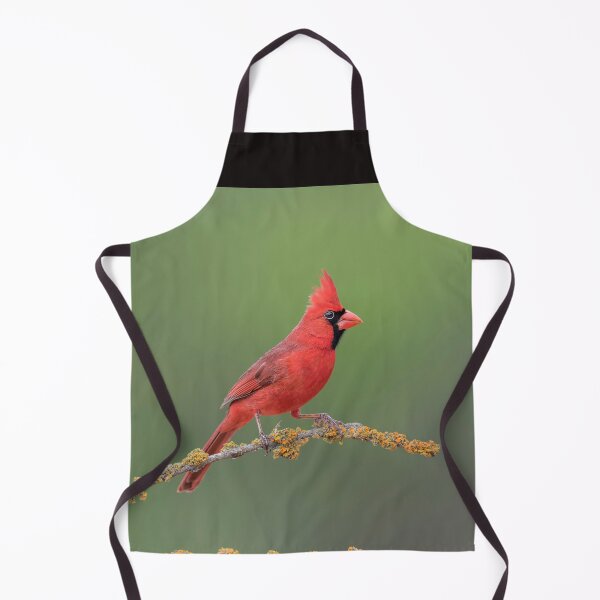 Item preview, Northern Cardinal designed and sold by Puttaswamy Ravishankar.