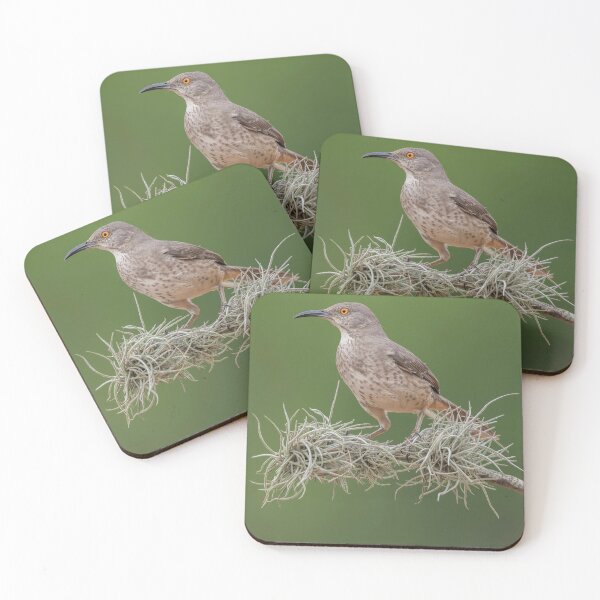 Item preview, Portrait of a Long-billed thrasher designed and sold by Puttaswamy Ravishankar.