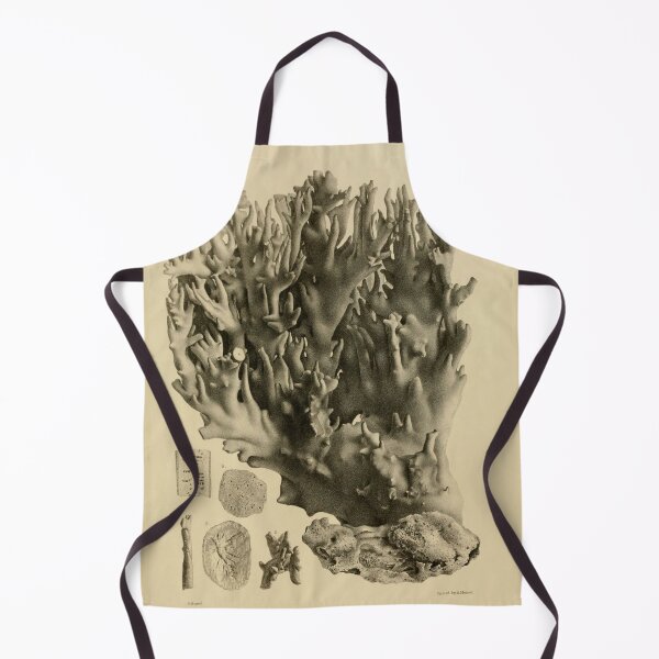 Item preview, Vintage Illustration of Florida Reefs 1880 designed and sold by botanicalworks.