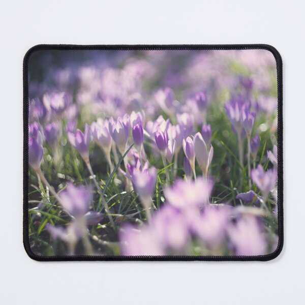 Item preview, Crocuses designed and sold by Alisonchambers2.