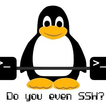 Artwork thumbnail, Do you even SSH? by thedeo