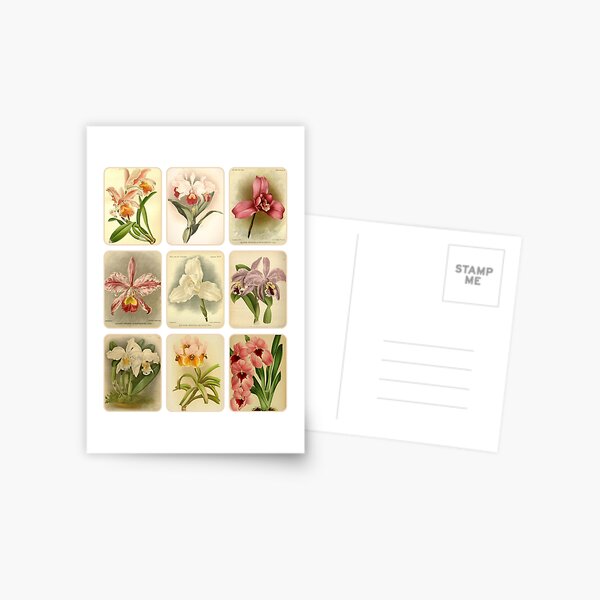 Item preview, Antique Colourful Orchid Collage designed and sold by IrisAndIvy.
