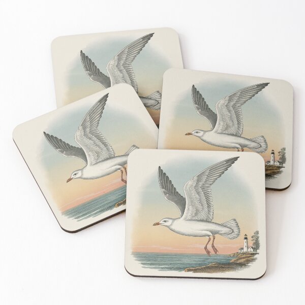 Item preview, Laughing Gull - Leucophaeus Atricilla Vintage Engraving designed and sold by GRABAPSHOP.