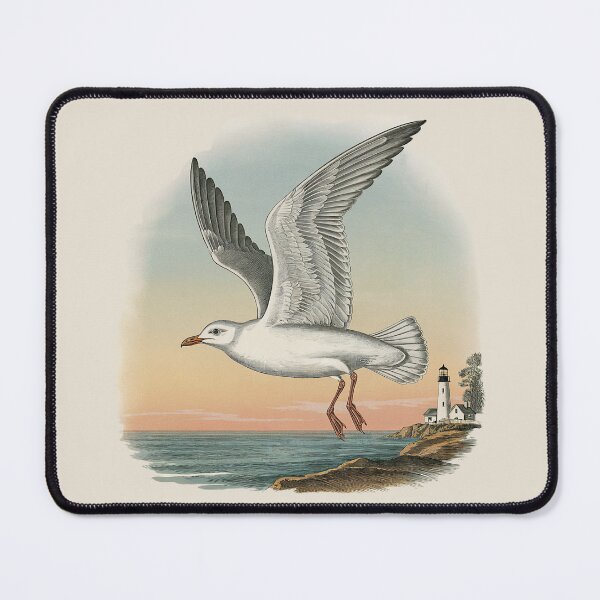 Item preview, Laughing Gull - Leucophaeus Atricilla Vintage Engraving designed and sold by GRABAPSHOP.