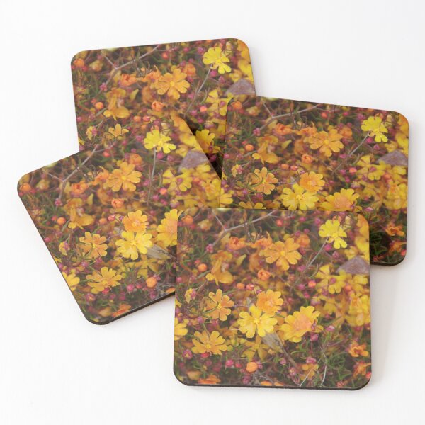 Item preview, Hibbertian stellaris - Australian Native Plant designed and sold by lezvee.