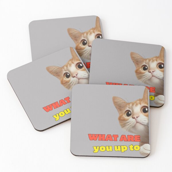 Item preview, what are you up to  designed and sold by H.O.B.