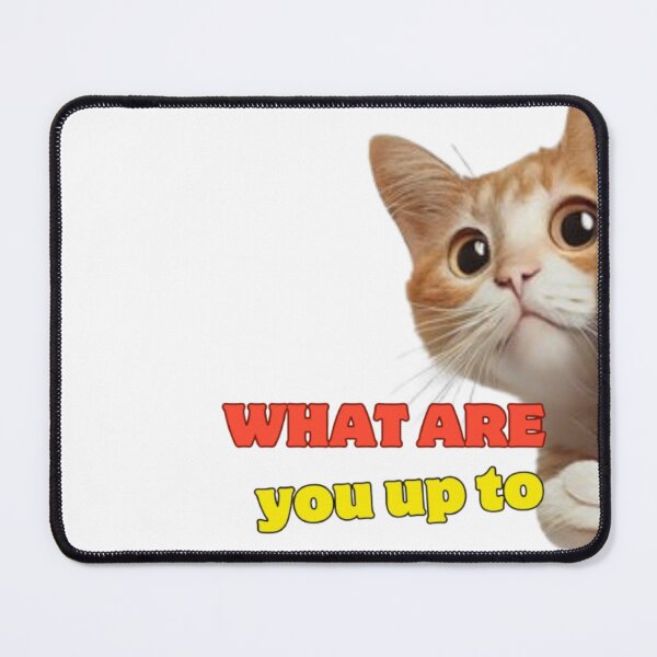Item preview, what are you up to designed and sold by H.O.B.