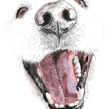 Artwork thumbnail, Smile! by Krista Wells