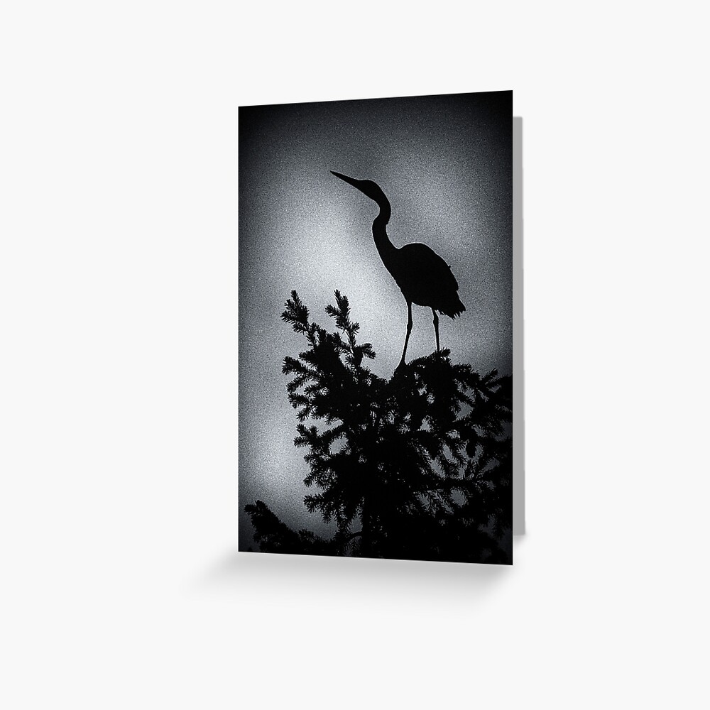 Heron in a tree. Greeting Card
