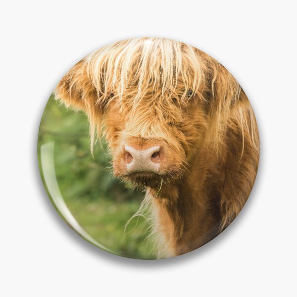 Item preview, Highland Cow designed and sold by Jane Stanley Photography.